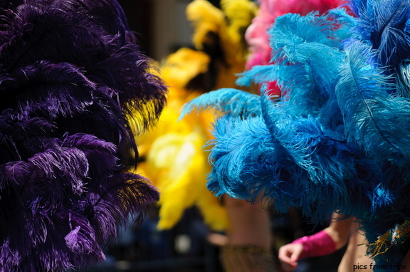 carnaval feathers
